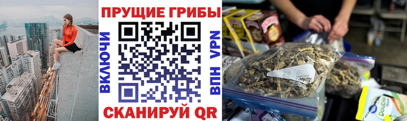 Псилоцибиновые грибы MAGIC MUSHROOMS  kraken как войти  Нерчинск 